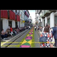 36278 06 096 Festas do Senhor Santo Cristo dos Milagres Ponta Delgada, Sao Miguel, Azoren 2019.jpg